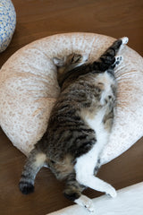 Strawberry Cream Pudding Bed