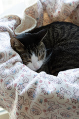 Something Blue Blanket