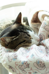 Something Blue Blanket