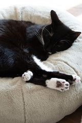 Matcha Cover for Pudding Beds