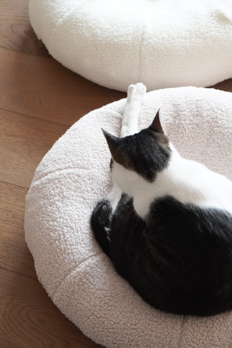 Taro Pudding Bed