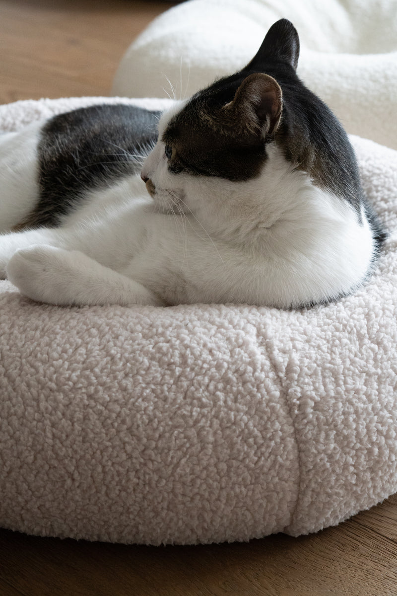 Taro Pudding Bed