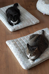 Supernova Ravioli Bed