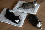 Supernova Ravioli Bed