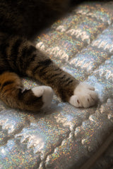 Supernova Ravioli Bed