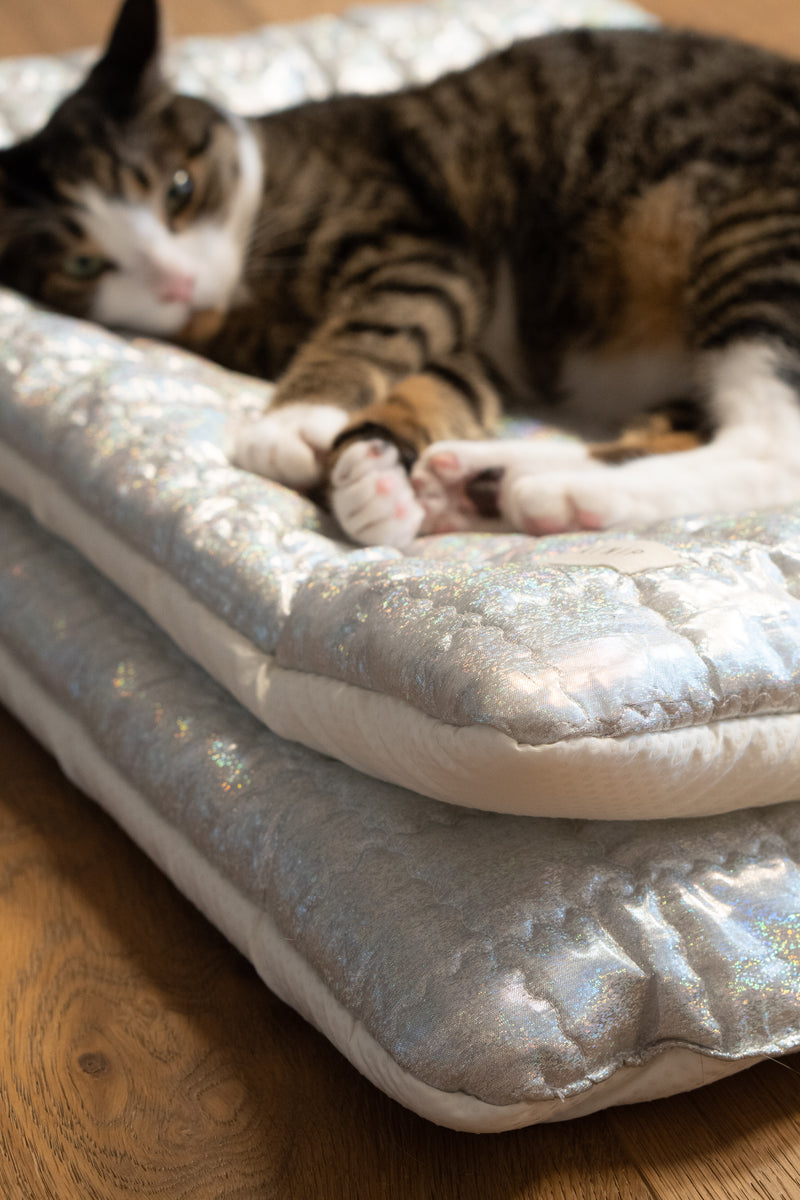 Supernova Ravioli Bed