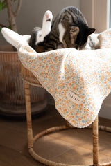 Sunset Sorbet Blanket