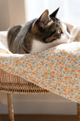 Sunset Sorbet Blanket
