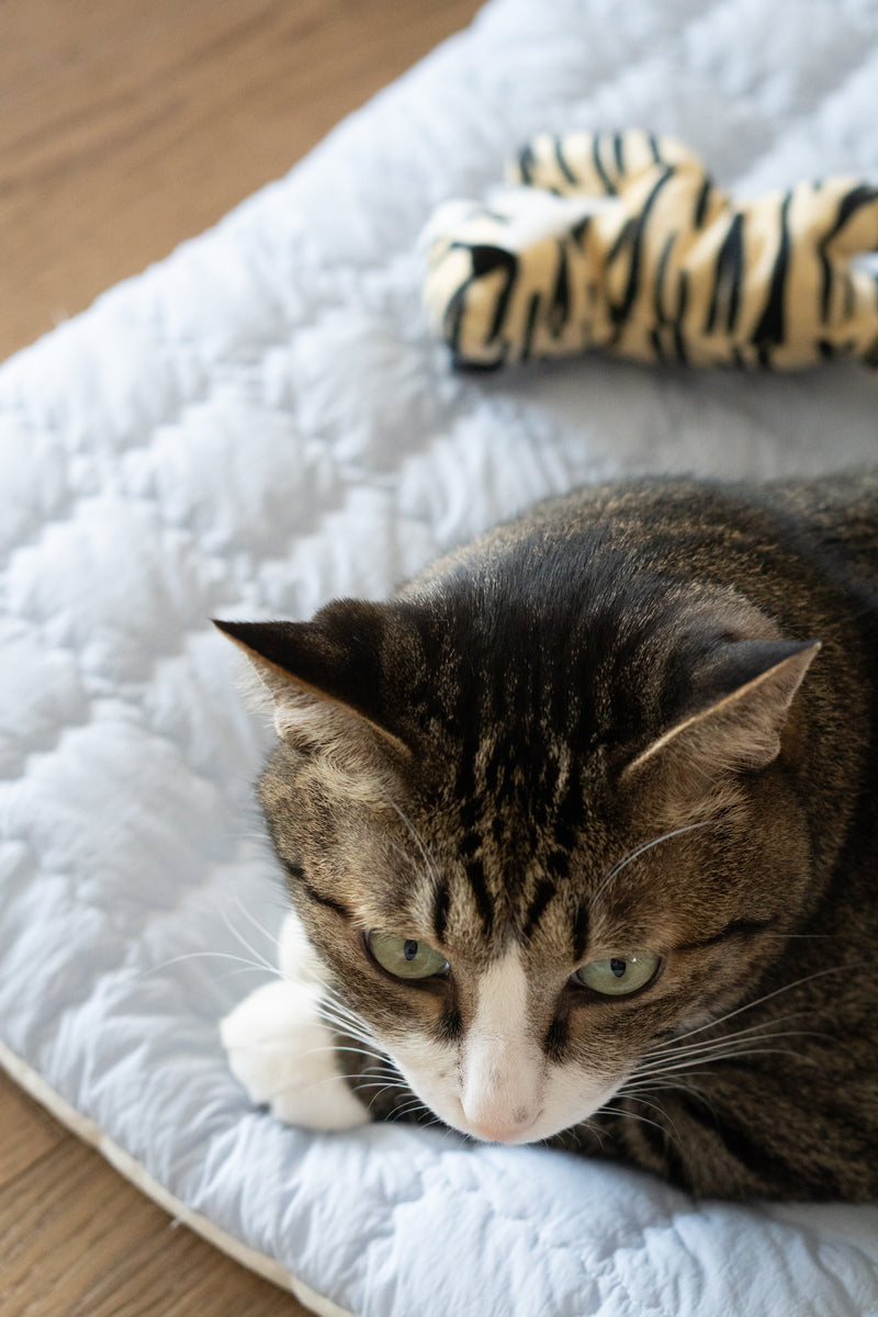 Puffer Ravioli Bed