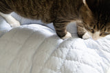 Puffer Ravioli Bed