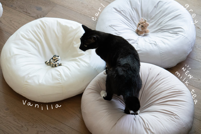 Milk Tea Pudding Bed