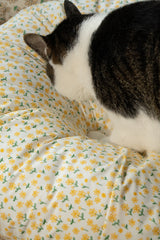 Sunny Poppy Pudding Bed