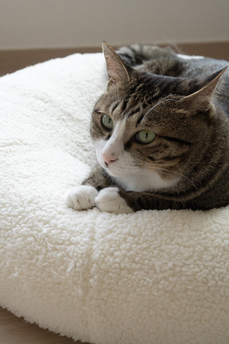 Marshmallow Pudding Bed