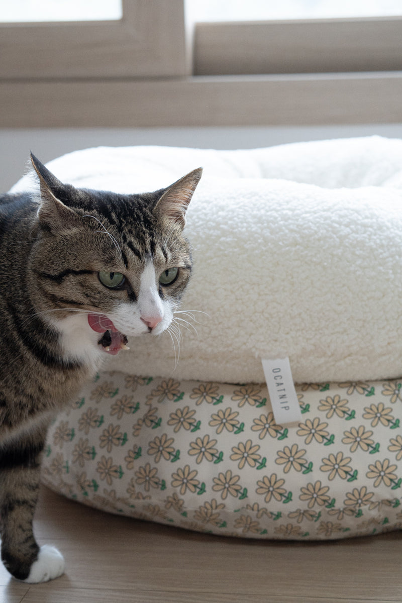 Marshmallow Pudding Bed