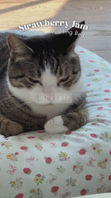 Strawberry Jam Pudding Bed