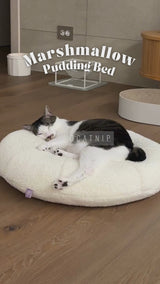 Marshmallow Pudding Bed