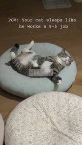 Pistachio Pudding Bed