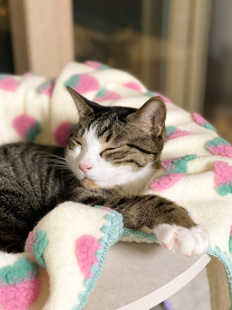 Strawberry Puff Blanket