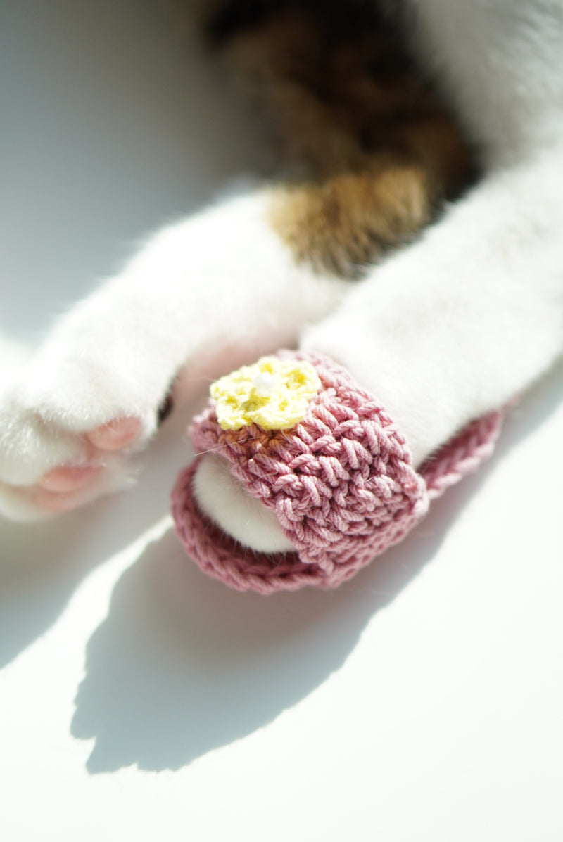 Pink Magic Flying Slippers