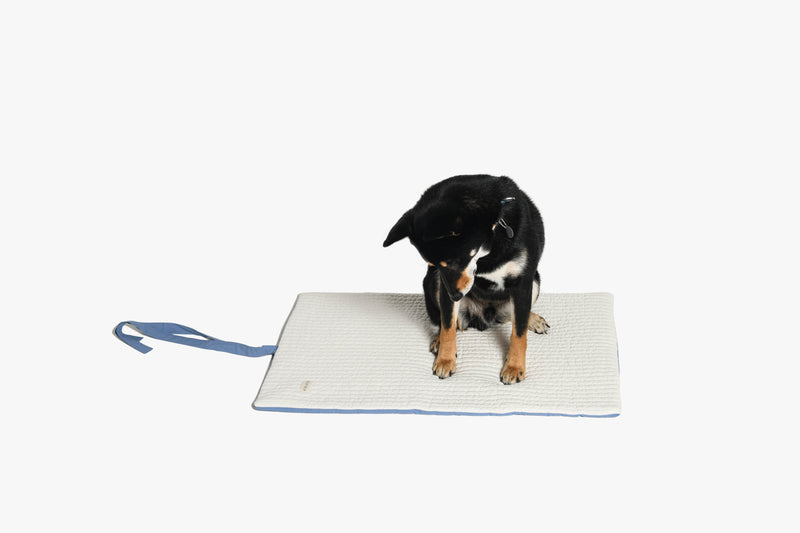 Blueberry Roll-Up Bed