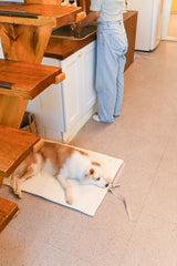 Oatmeal Roll-Up Bed