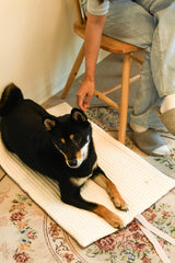 Oatmeal Roll-Up Bed