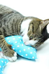 Catnip Toy