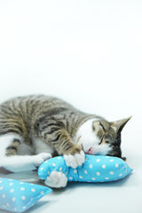 Blue Polkadot Catnip Kicker