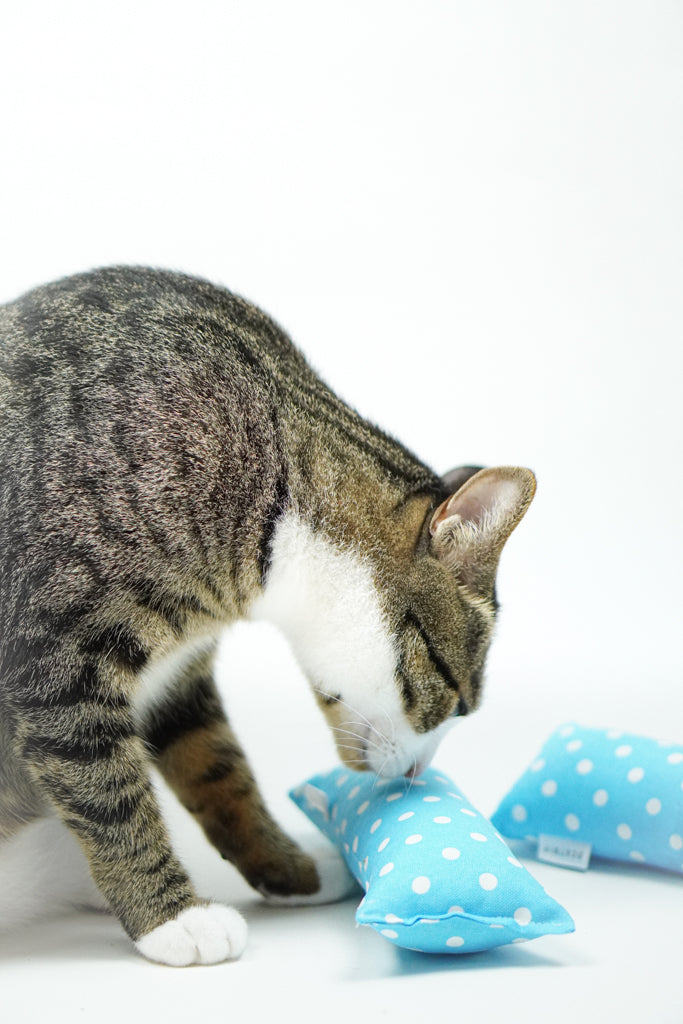 Blue Polkadot Catnip Kicker