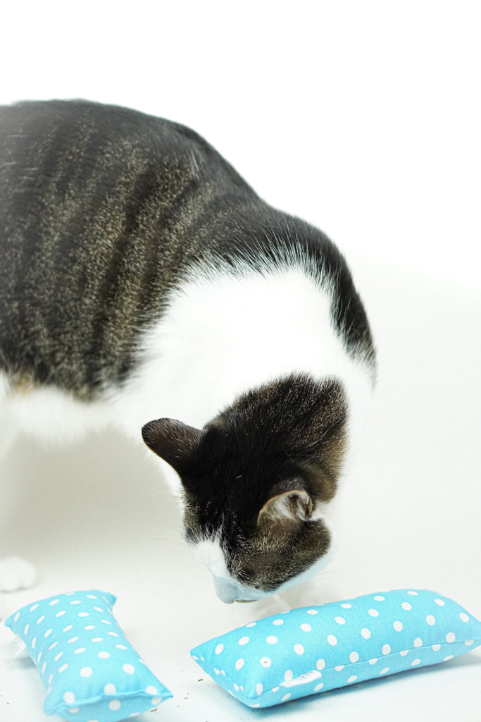 Blue Polkadot Catnip Kicker