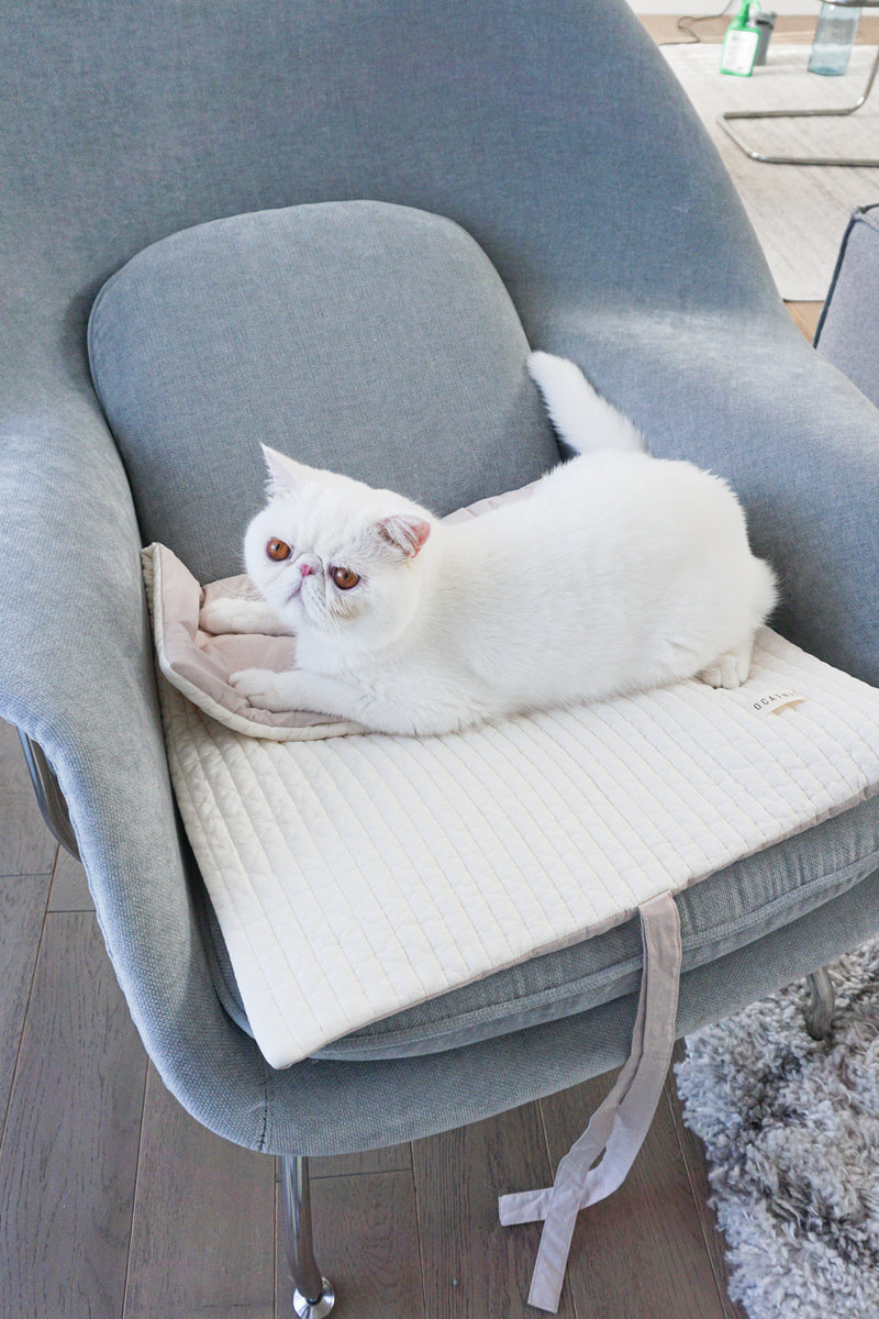 Oatmeal Roll-Up Bed