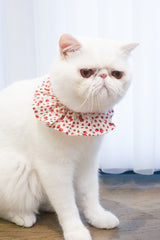 Strawberry Shortcake Bib
