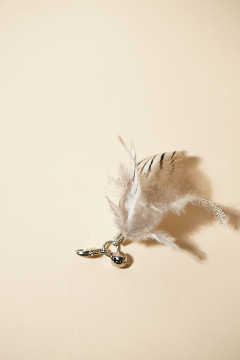 Mini-Striped Feather Teaser