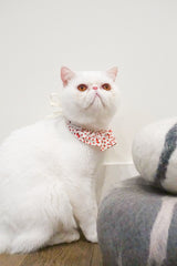 Strawberry Shortcake Bib