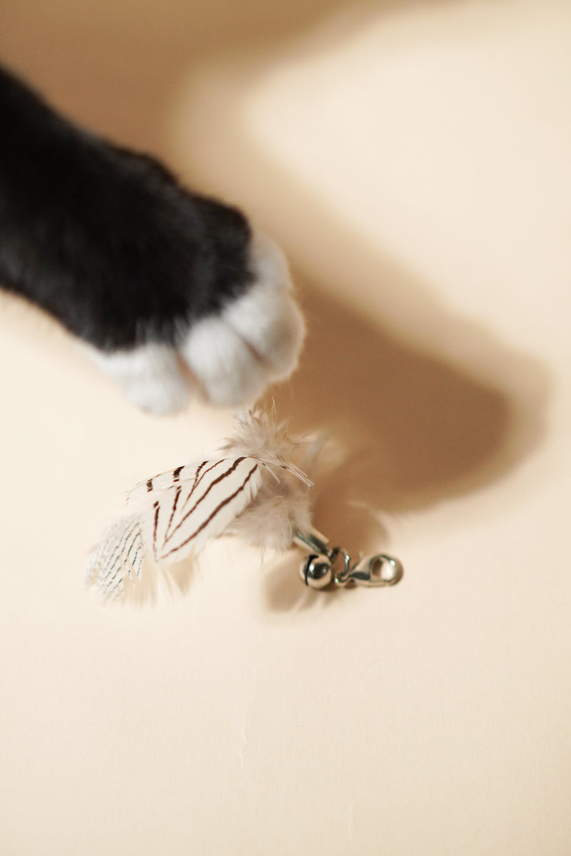 Mini-Striped Feather Teaser