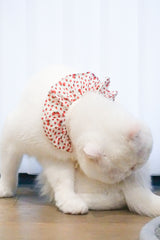 Strawberry Shortcake Bib