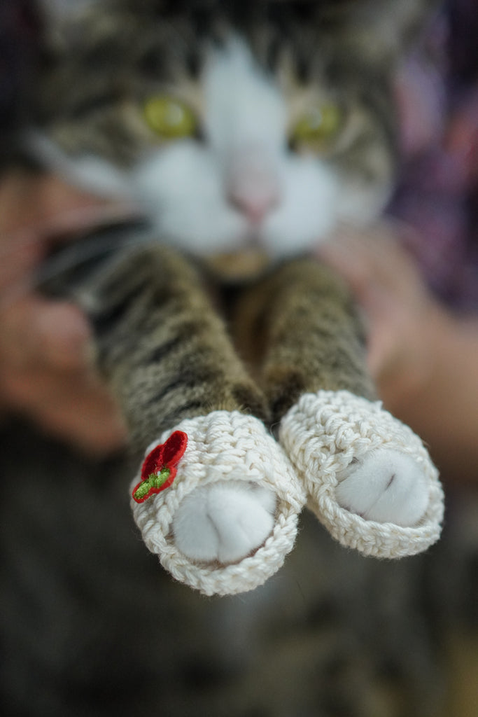 White Magic Flying Slippers