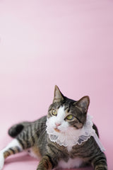 Bridgerton Puff Collar
