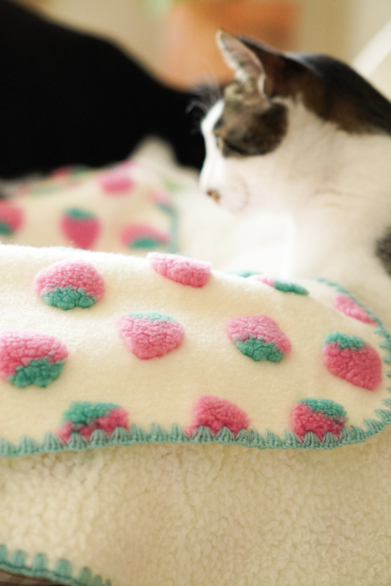 Strawberry Puff Blanket