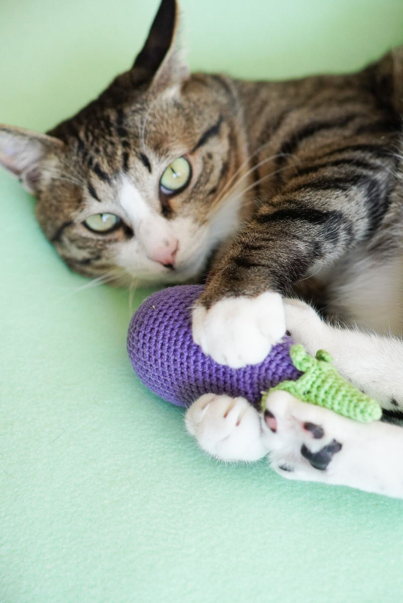Ocatnip Toy Bundle
