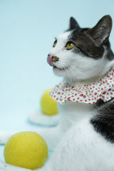 Strawberry Shortcake Bib