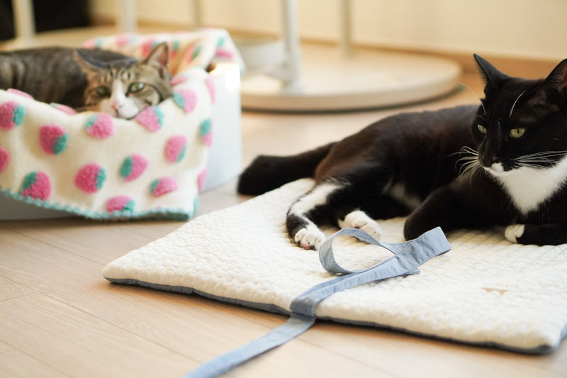 Blueberry Roll-Up Bed