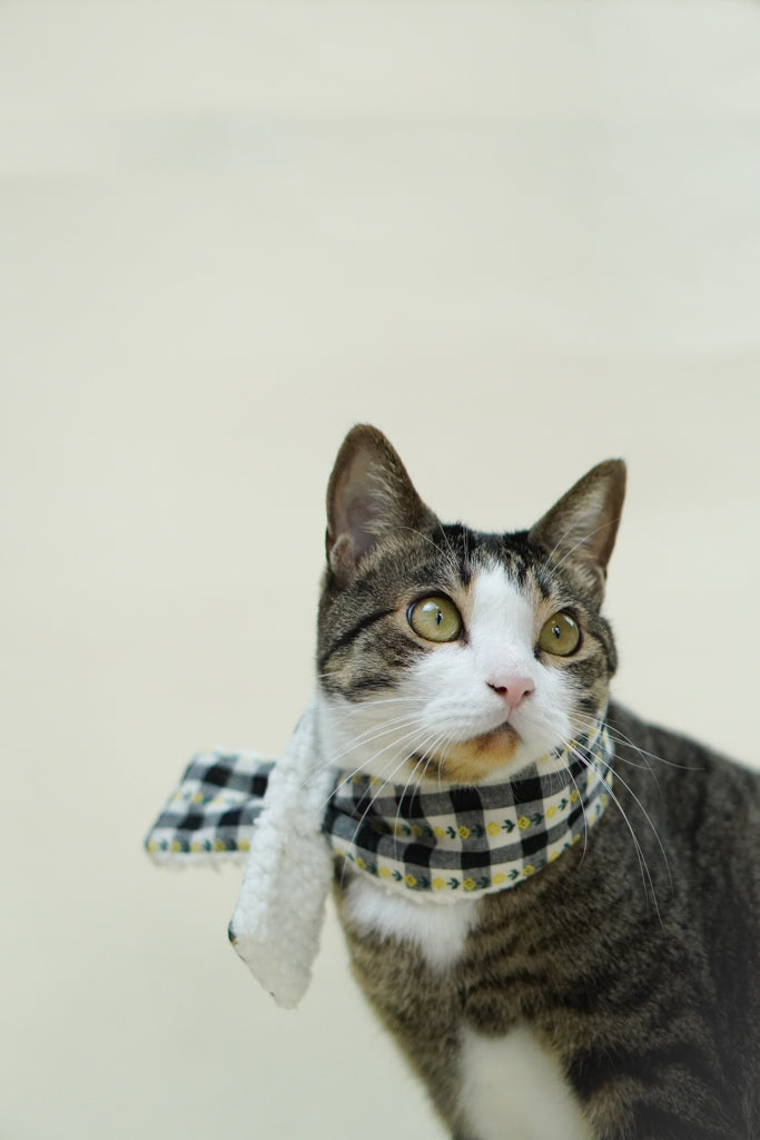 Tulip Plaid Neck Sweats