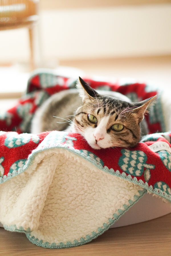Apple Cinnamon Blanket