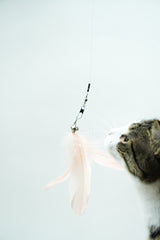 Large Blush Feather Teaser