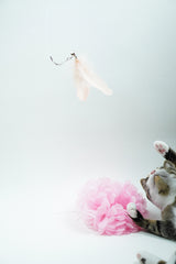 Large Blush Feather Teaser