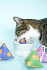 Catnip Toy