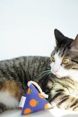 Catnip Toy