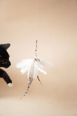 White Tutu Feather Teaser