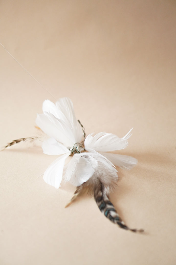 White Tutu Feather Teaser